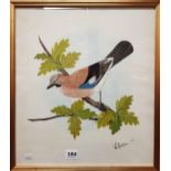 W HUSTON - WATERCOLOUR - BIRD ON A BRANCH