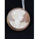GOLD MOUNTED CAMEO