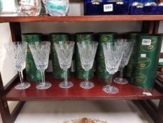 6 TYRONE GLASSES