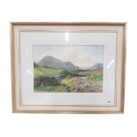 J W CAREY - WATERCOLOUR - SLIEVE BINIAN - 52 X 36 CMS