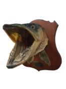 MOUNTED PIKES HEAD LOUGH MASK 14 LBS 11.7.84