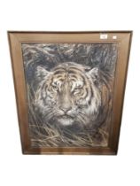 PASTEL DRAWING - TIGER