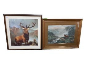 2 FRAMED STAG PICTURES