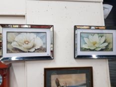 PAIR OF MIRRORED FLOWER PICTURES