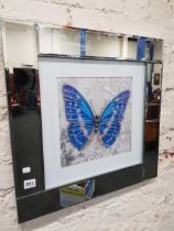 BUTTERFLY PICTURE WITH MIRRORED FRAME