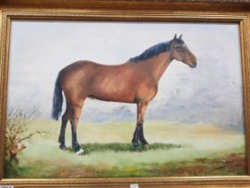 R MCCRACKEN OIL ON CANVAS - RACE HORSE 60 X 40CM