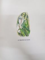 BOOK: A TROPICAL GLEN - A FLORIZEGIUM OF BELFAST BOTANIC GARDENS