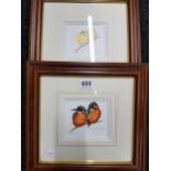 PAIR OF SIGNED LTD EDITION PRINTS BY DOROTHEA BUXTON-HYDE