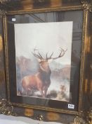 PRINT - STAG - MONARCH OF THE GLEN