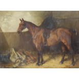 John Atkinson (British, 1863-1924) Sudboro, a saddled and bridled bay hunter standing in a stall