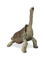 Nick Bibby (British, b. 1960): An impressive bronze model of a Rodrigues Giant Tortoise (Cylindr...