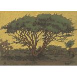Jacob Hendrik Pierneef (South African, 1886-1957) A Camel Thorn tree at dusk (framed)