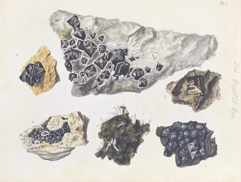 RASHLEIGH (PHILIP) Specimens of British Minerals Selected from the Cabinet of Philip Rashleigh, ...
