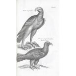 WILLUGHBY (FRANCIS) AND JOHN RAY The Ornithology of Francis Willughby... in Three Books wherein ...