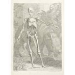 ANATOMY ALBINUS (BERNARD SIEGFRIED) Tables of the Skeleton and Muscles of the Human Body; A Comp...