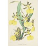 PAXTON (JOSEPH) Paxton's Magazine of Botany, and Register of Flowering Plants, 16 vol., Orr and ...