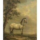 Dutch School, late 18th Century A spotted horse