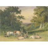 Robert Hills (London 1769-1844) Fallow deer in a forest clearing