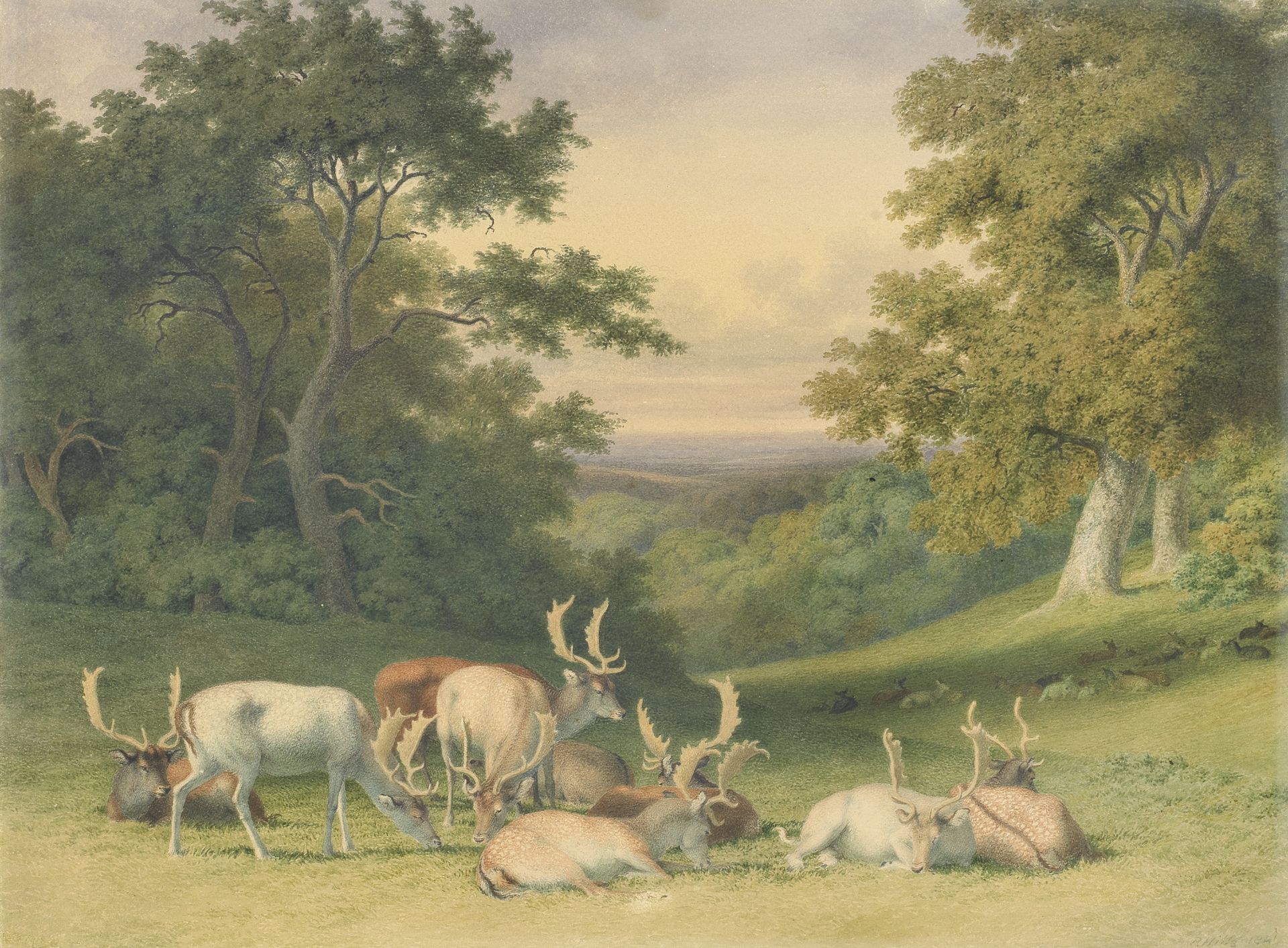 Robert Hills (London 1769-1844) Fallow deer in a forest clearing