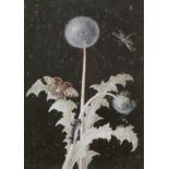 A Member of the Dietzsch Family (active Germany, 18th Century) Dandelion with a moth, a caterpil...