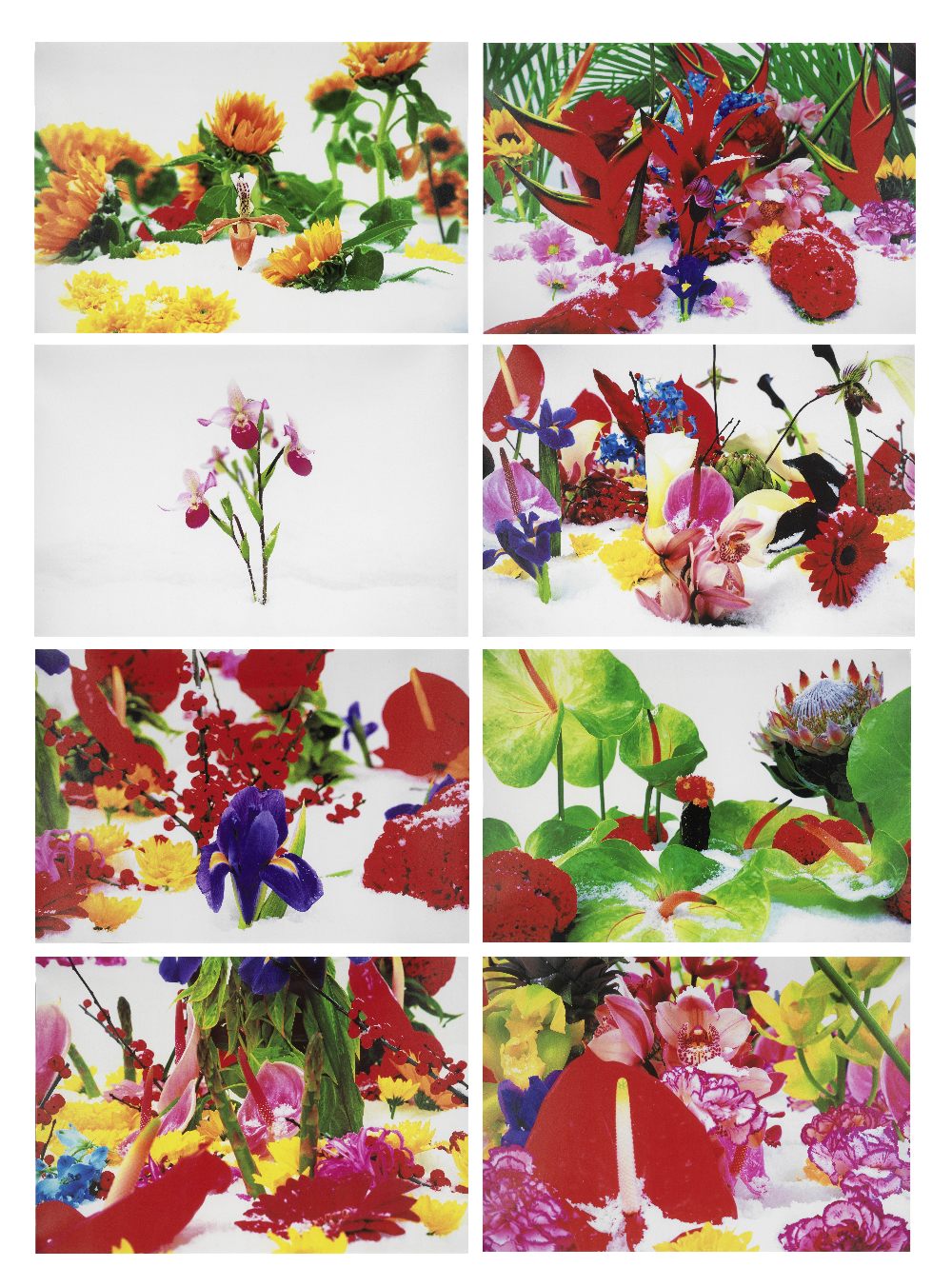 Marc Quinn (British, born 1964) Winter Garden The complete set of eight pigment prints, 2004, on...