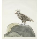 Dame Elisabeth Frink R.A. (British, 1930-1993) Lammergeier, from Birds of Prey Etching with aqua...