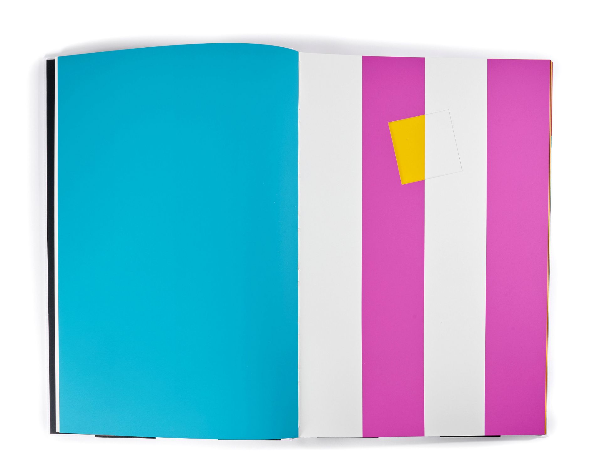 Daniel BUREN (N&#233; en 1938) CAHIER D'UN RETOUR AU PAYS NATAL, 2004 Livre-objet enti&#232;reme...