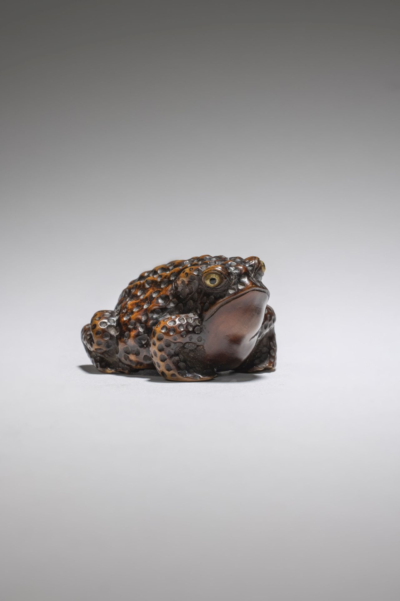 NETSUKE EN BOIS REPR&#201;SENTANT UN CRAPAUD Par Shigetada, Province d'Iwashiro, XIXe si&#232;cle