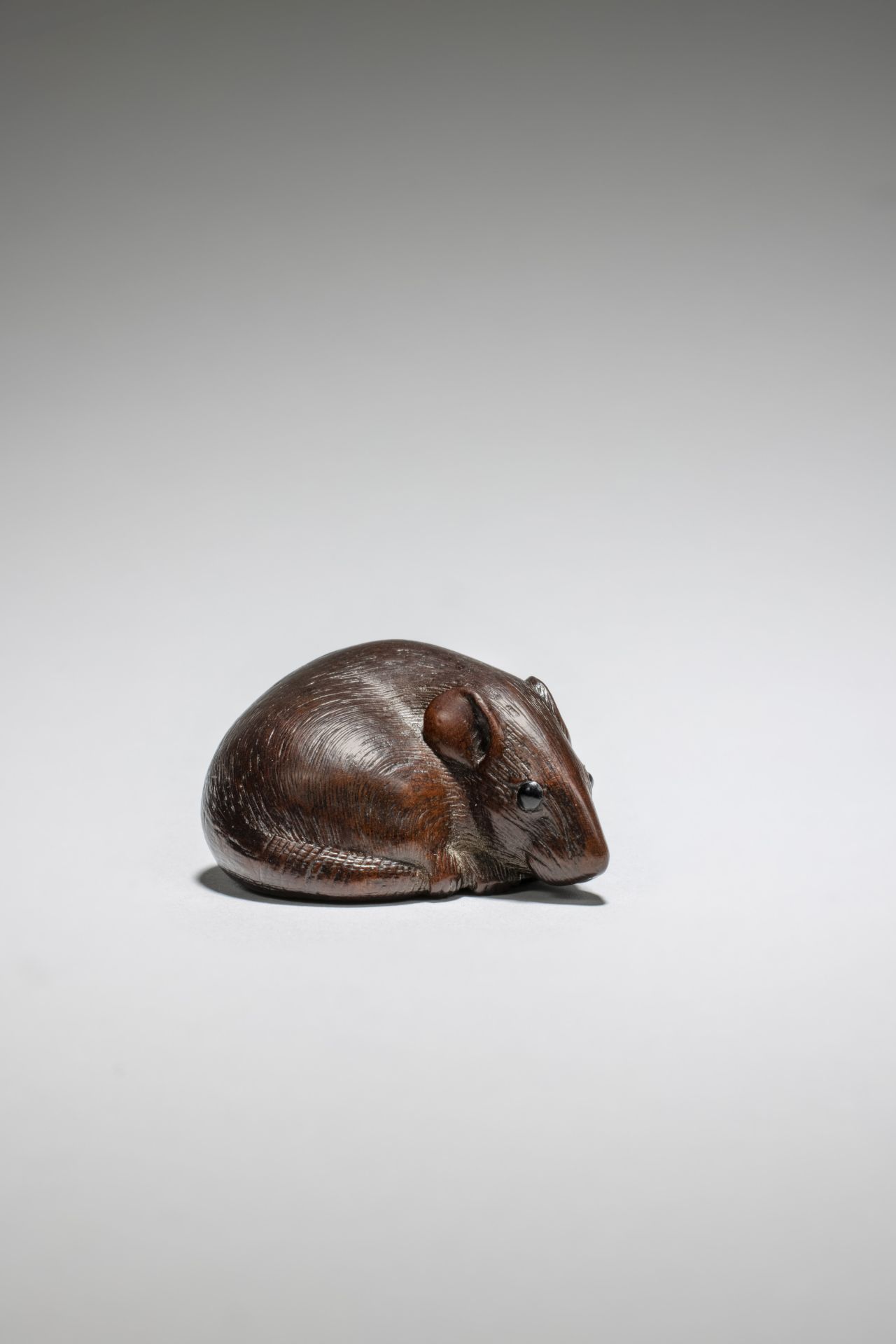 NETSUKE EN BOIS REPR&#201;SENTANT UN RAT Par Tomokazu, Gifu, d&#233;but/mi-XIXe si&#232;cle