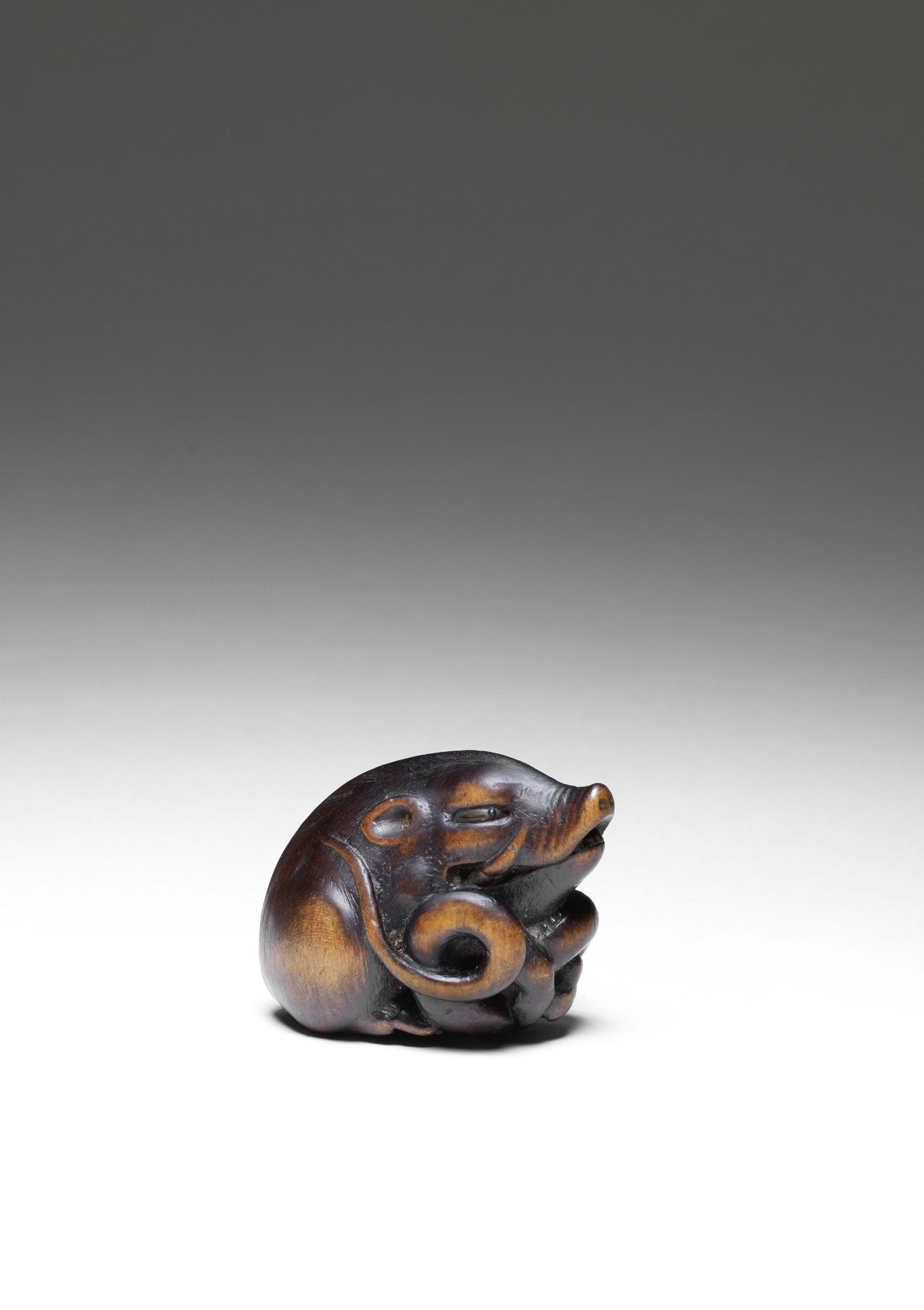 NETSUKE EN BOIS REPR&#201;SENTANT UN SANGLIER ET UN SERPENT Par Sari, Province d'Iwashiro, XIXe ...