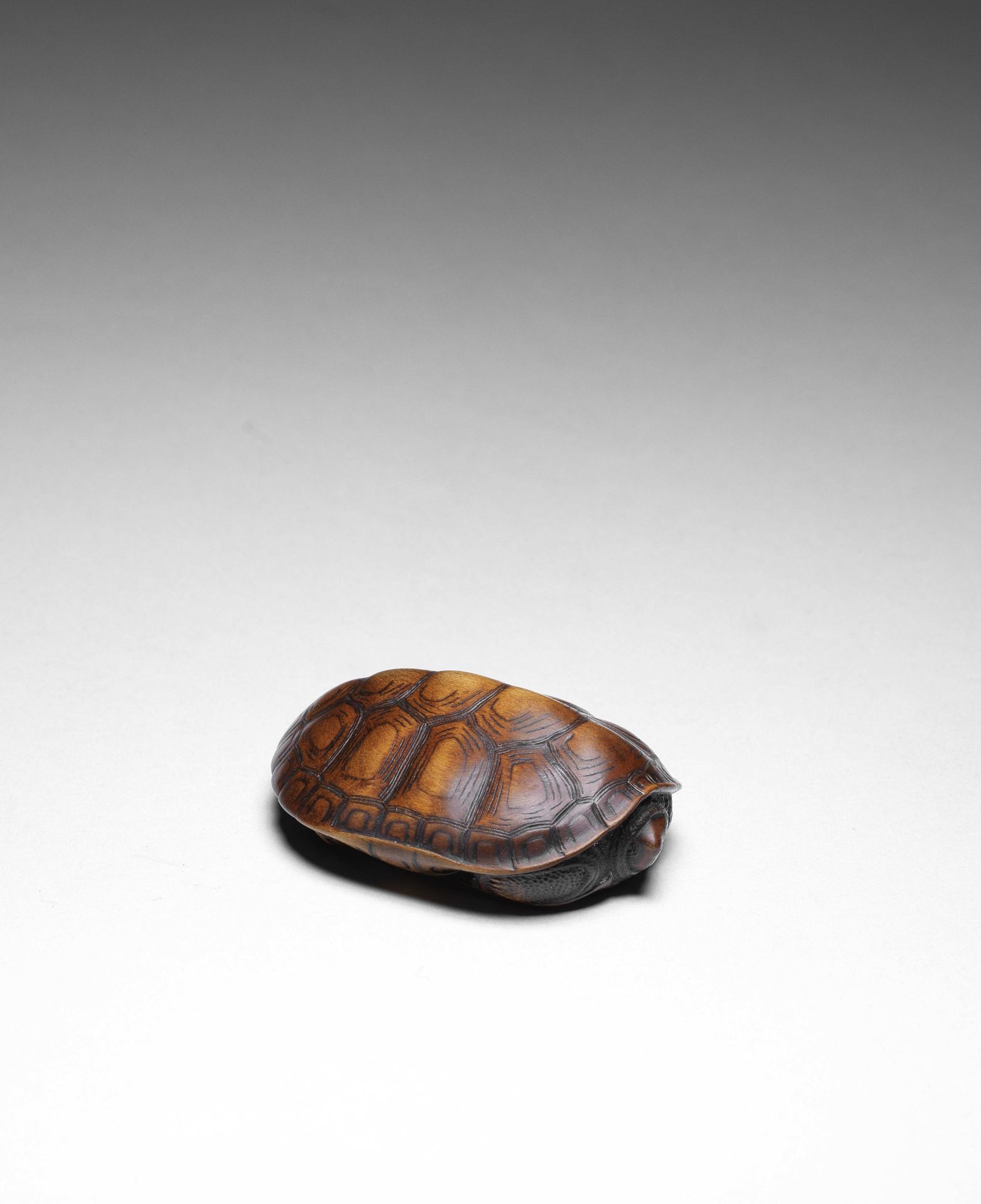 NETSUKE EN BOIS REPR&#201;SENTANT UNE TORTUE Par Tomokazu, Gifu, d&#233;but/mi-XIXe si&#232;cle