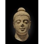 T&#202;TE DE BOUDDHA EN STUC ANCIENNE R&#201;GION DU GANDHARA, IVE/VE SI&#200;CLE