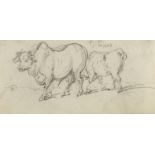 George Chinnery (London 1774-1852 Macau) A study of cattle