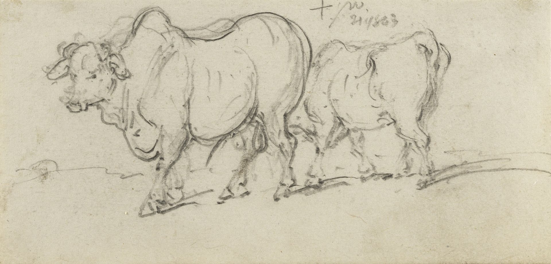 George Chinnery (London 1774-1852 Macau) A study of cattle