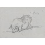 George Chinnery (London 1774-1852 Macau) Study of a sway back pig