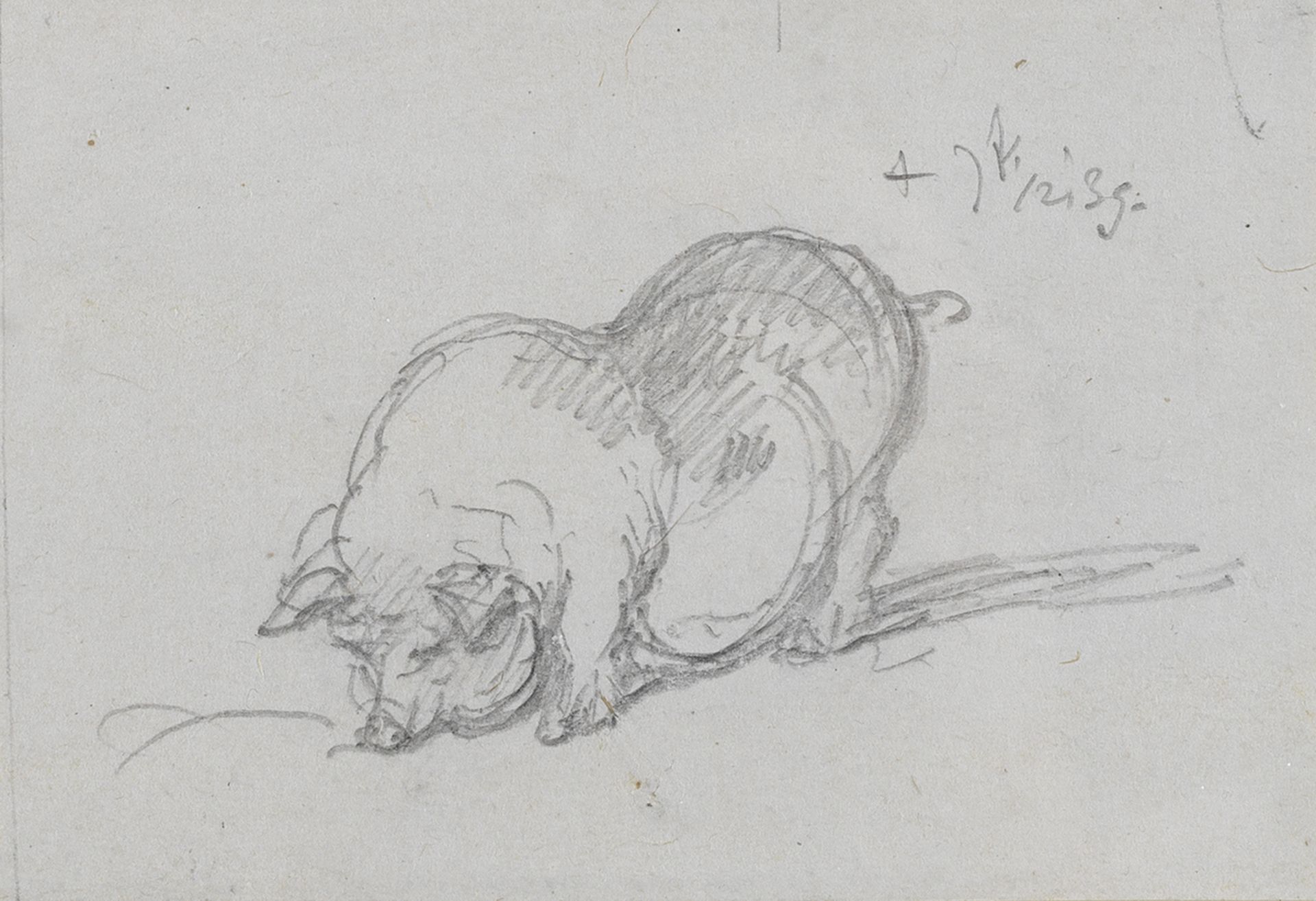 George Chinnery (London 1774-1852 Macau) Study of a sway back pig