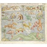 MUNSTER (SEBASTIAN) [Sea Monsters] Meerwunder und Seltzame Their, [1578]