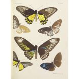 BUTTERFLIES BARRETT (CHARLES G.) The Lepidoptera of the British Islands, 11 vol., 1893-1907; wit...