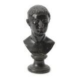 A late 18th/early 19th century Italian patinated grand tour bust After the antique