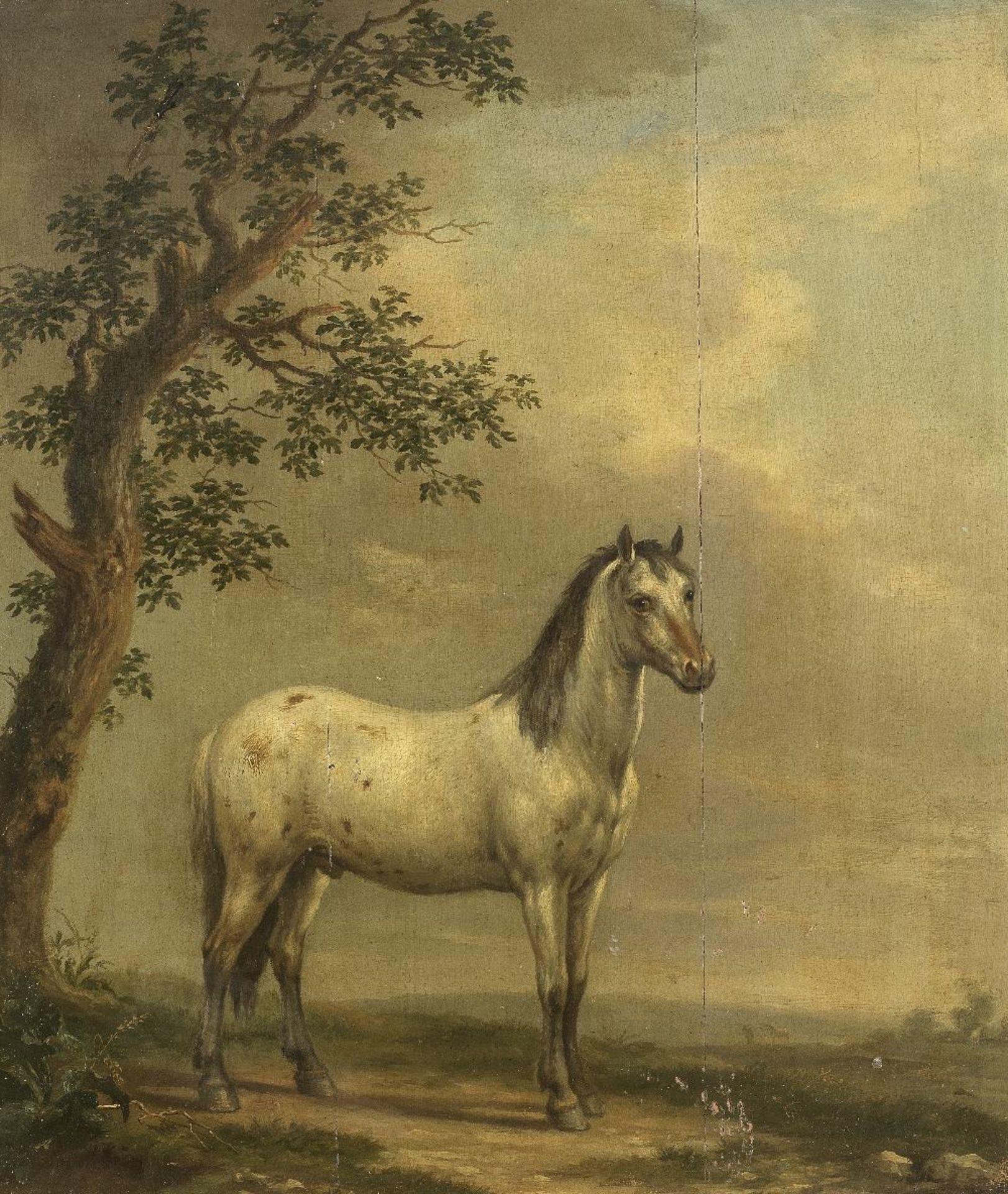 Dutch School, Late 18th Century A spotted horse
