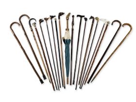 A collection of nineteen walking canes and sticks and a novelty umbrella (20)