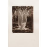 Jacques Courtejoie (B. 1949), Le dormeur du Val, 1998, gelatin silver print, 17.5 x 15 cm, edit...
