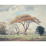 Jacob Hendrik Pierneef (South African, 1886-1957) The Doringbome - Pietersburg, framed 57.3 x 67...