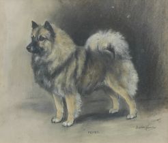 Marion Rodger Hamilton Harvey (British, 1886-1971) 'Peiter' - A Dog of the Keeshond Breed