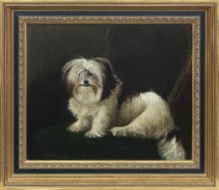 Rupert Arthur Dent (British, 1853-1910) A Tibetan Terrier