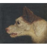 James Ward RA (British, 1769-1859) A Dog in Profile