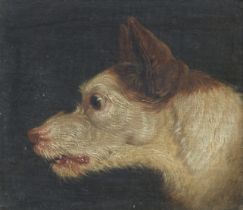 James Ward RA (British, 1769-1859) A Dog in Profile