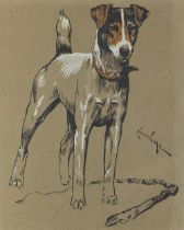 Arthur Wardle RI (British, 1864-1949) A set of five prints of various dog breeds each 25.5 x 20....