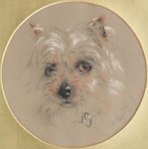 William Huggins (British, 1820-1884) A Yorkshire Terrier round 20 x 20cm (7 7/8 x 7 7/8in).