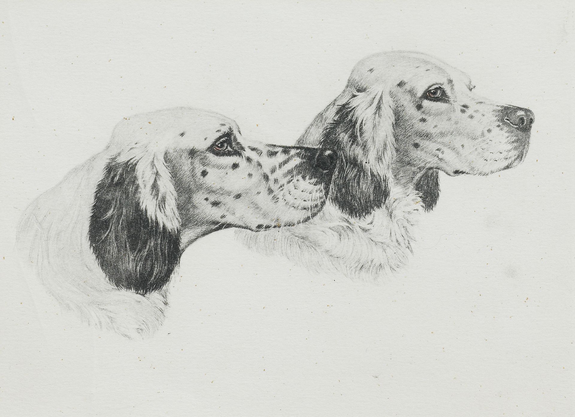 Jean Herblet (French, 1893-1985) English Setters plate 17.5 x 24.5cm (6 7/8 x 9 5/8in). (unframed)